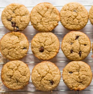 three rows of banana blender muffins with chocolate chips on a cooling rack over a tea towel
