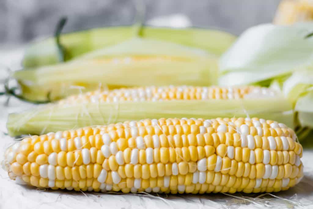 Purees 101 Sweet Corn Puree • Simple Gray TShirt