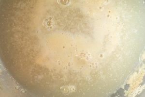 a metal bowl with yeast proofing. tiny bubbles forming on the surface of the liquid