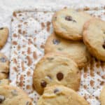 chocolate chip cookies for passover on a matza pot holder