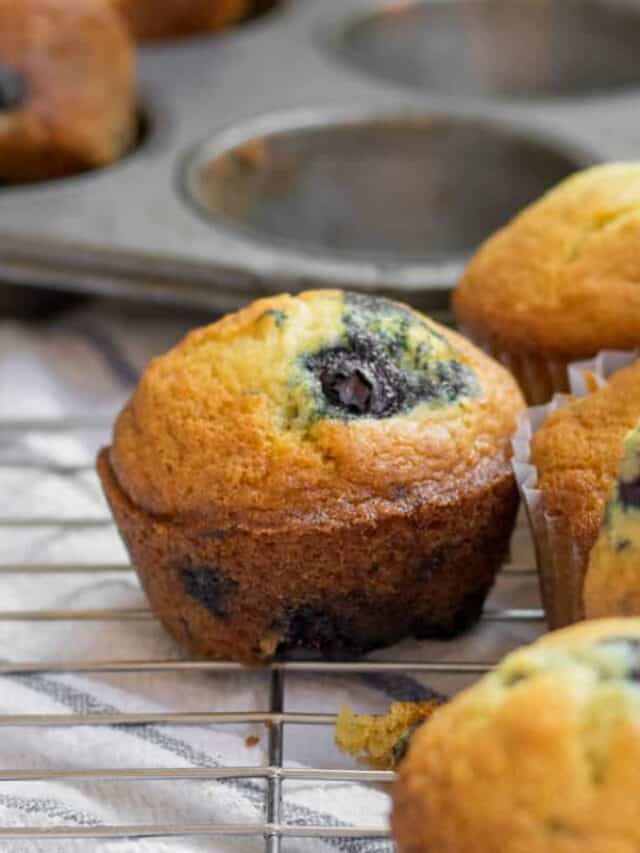 Blueberry Lemon Muffins