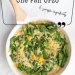 pin for pinterest