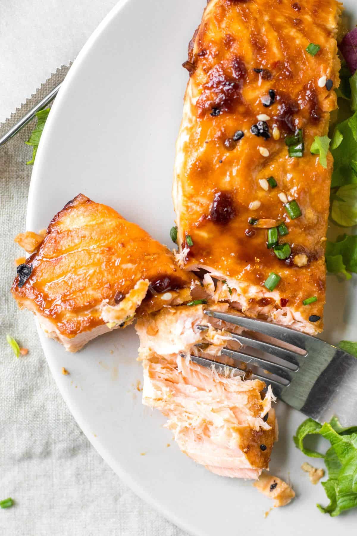 Cooked salmon on a plate being flaked with a fork.